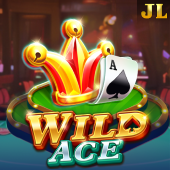 Wild Ace game artwork in the Birthday Bonus Casino lobby